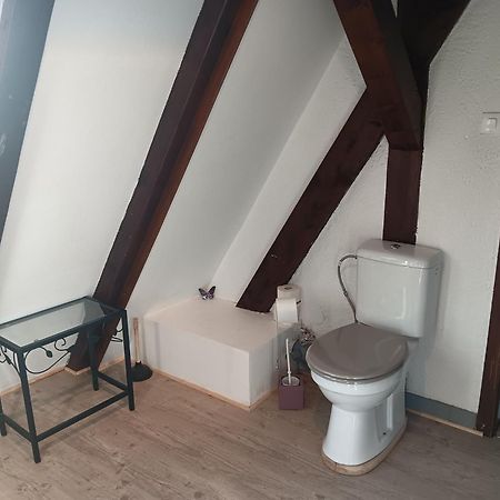 Gite Les Papillons Ribeauvillé Zewnętrze zdjęcie