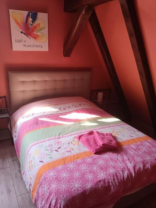 Gite Les Papillons Ribeauvillé Zewnętrze zdjęcie