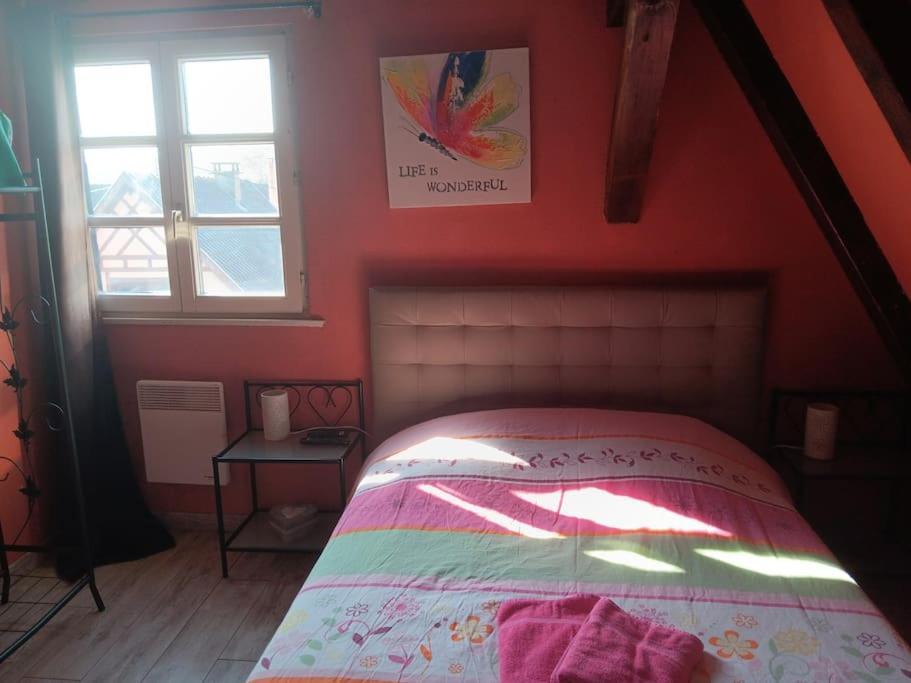 Gite Les Papillons Ribeauvillé Zewnętrze zdjęcie