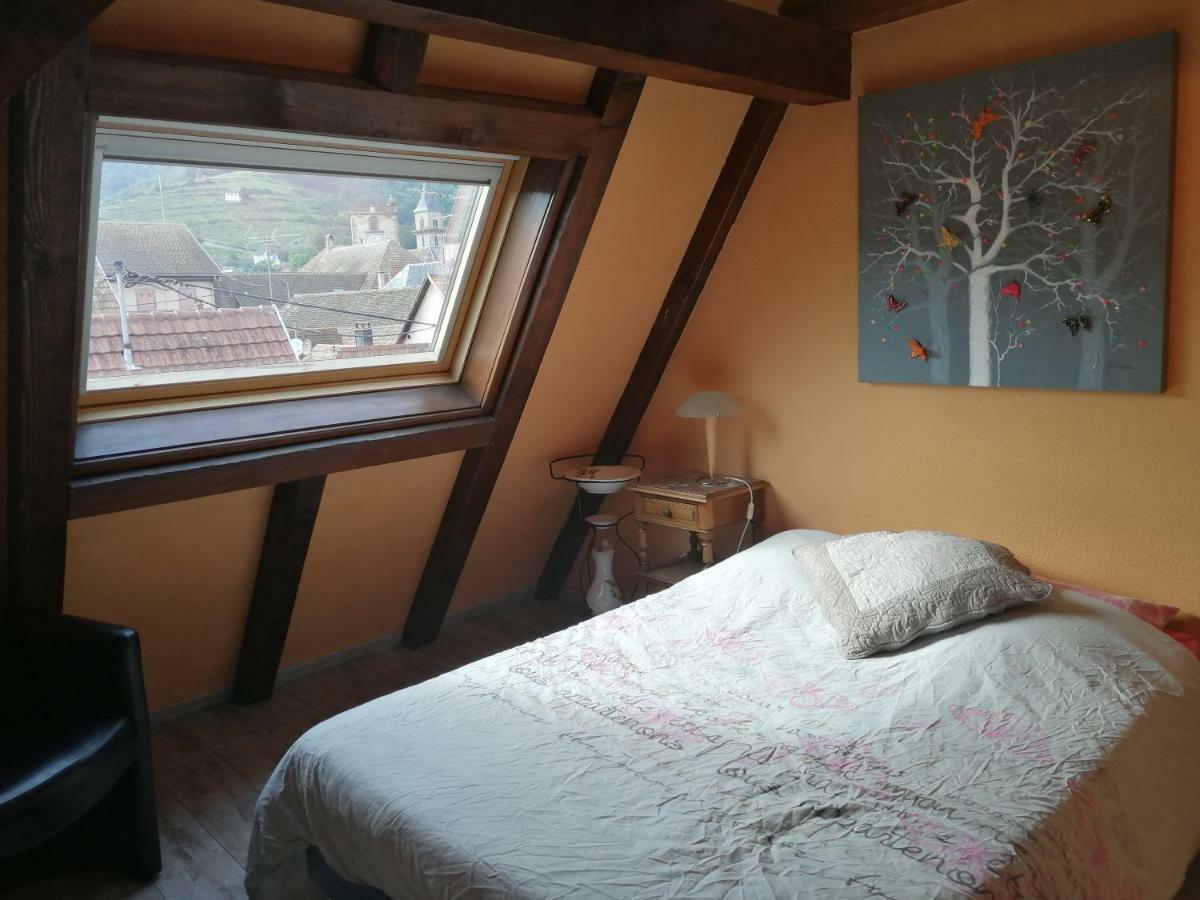 Gite Les Papillons Ribeauvillé Zewnętrze zdjęcie