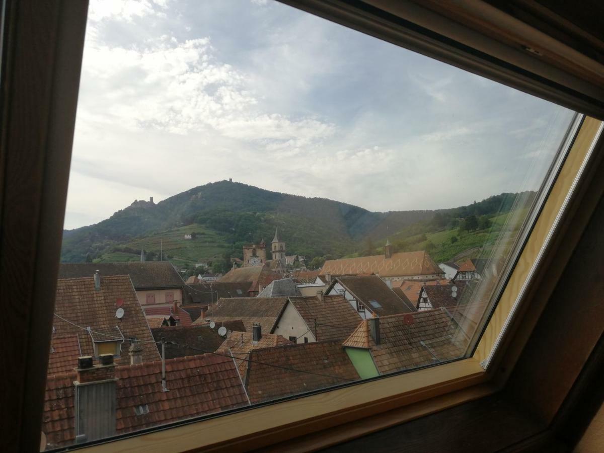 Gite Les Papillons Ribeauvillé Zewnętrze zdjęcie