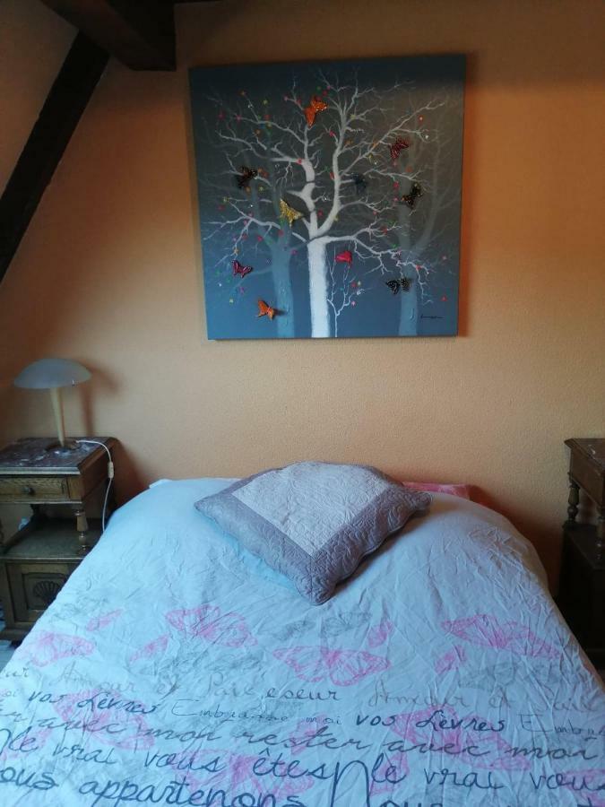 Gite Les Papillons Ribeauvillé Zewnętrze zdjęcie