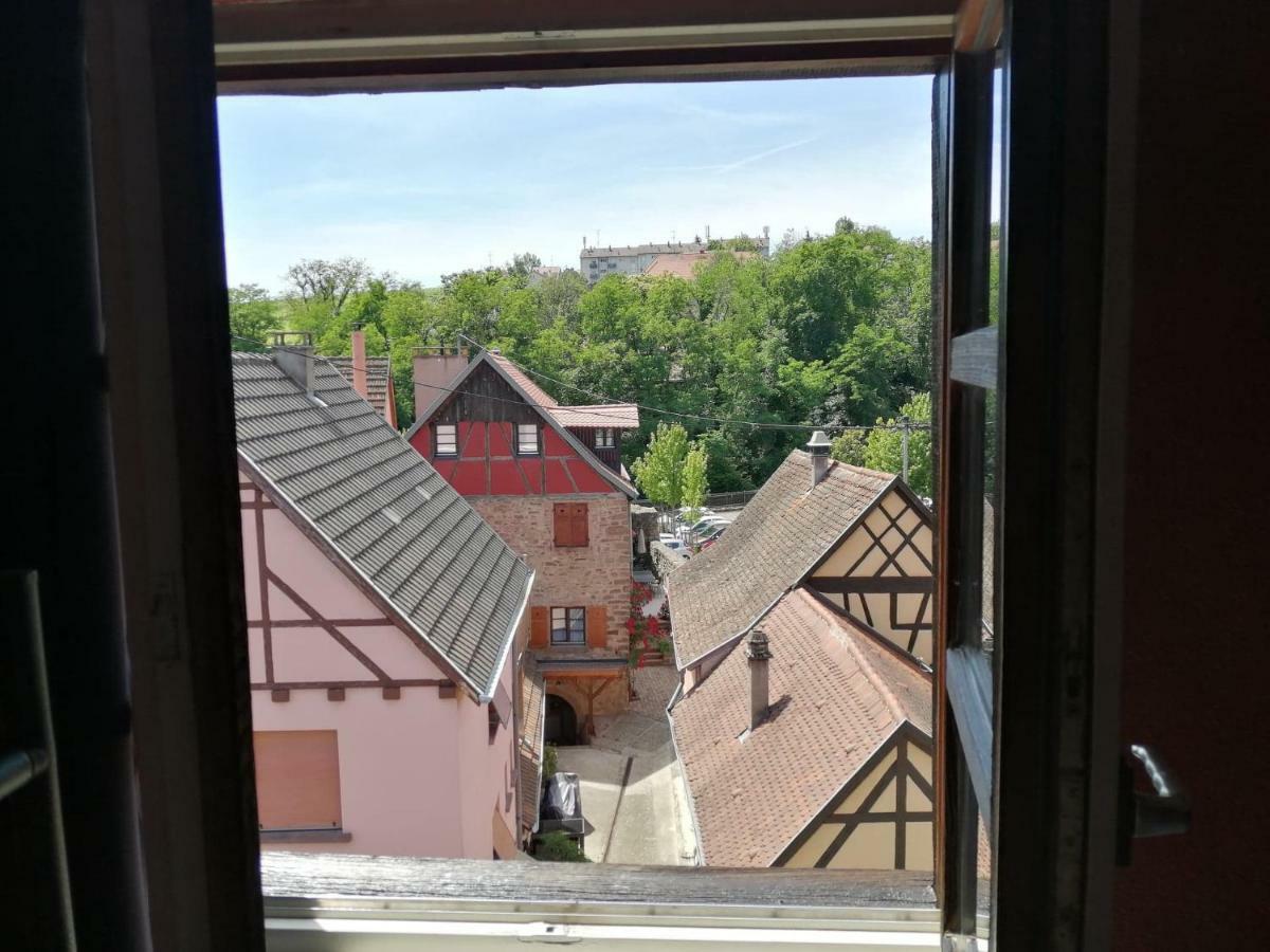 Gite Les Papillons Ribeauvillé Zewnętrze zdjęcie