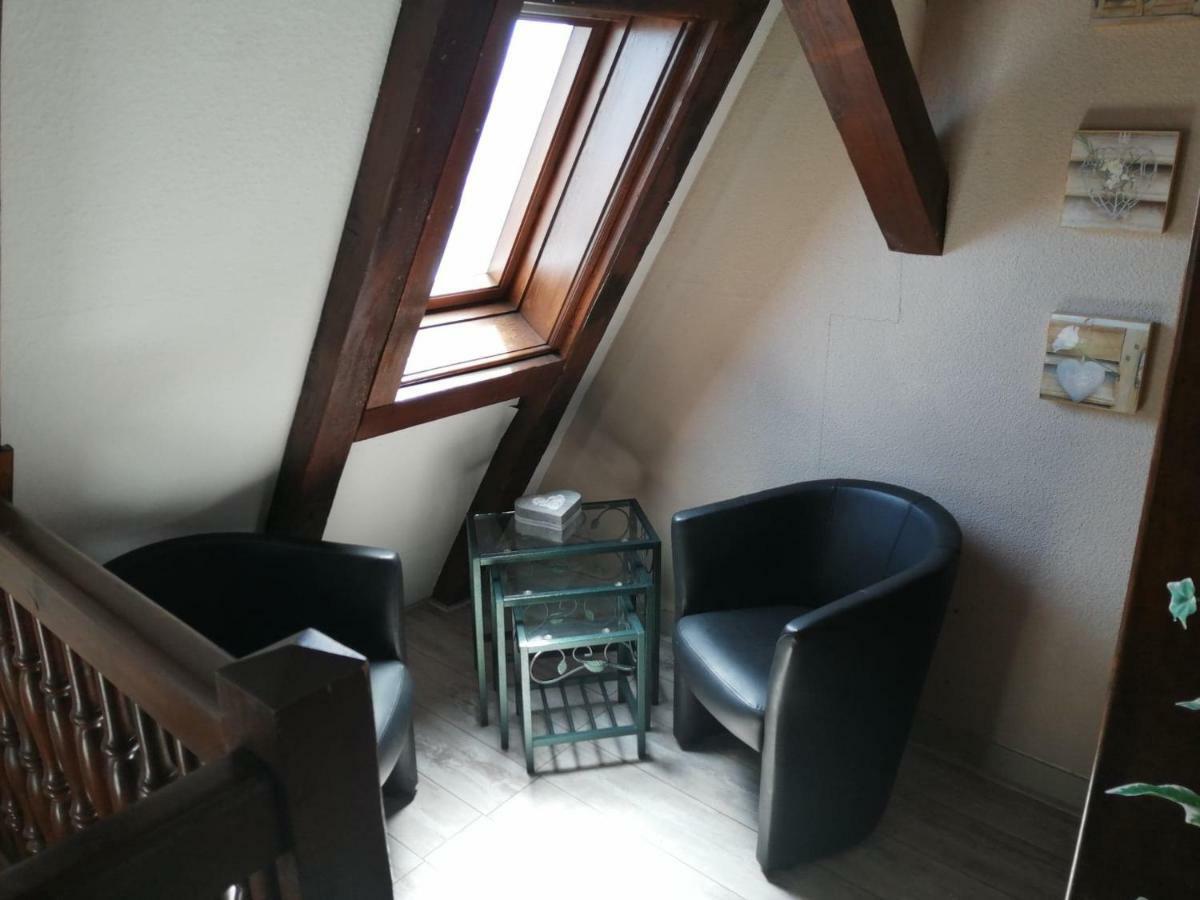 Gite Les Papillons Ribeauvillé Zewnętrze zdjęcie