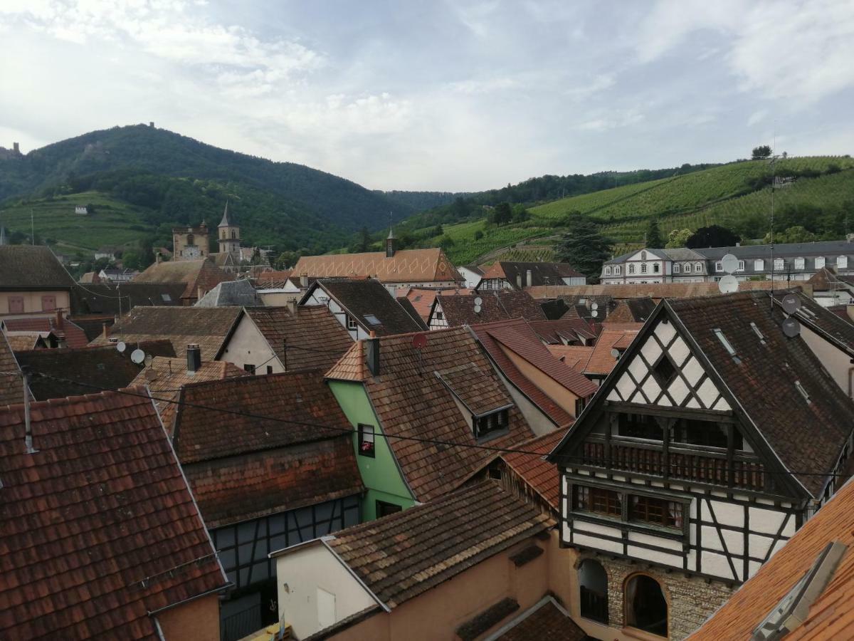Gite Les Papillons Ribeauvillé Zewnętrze zdjęcie